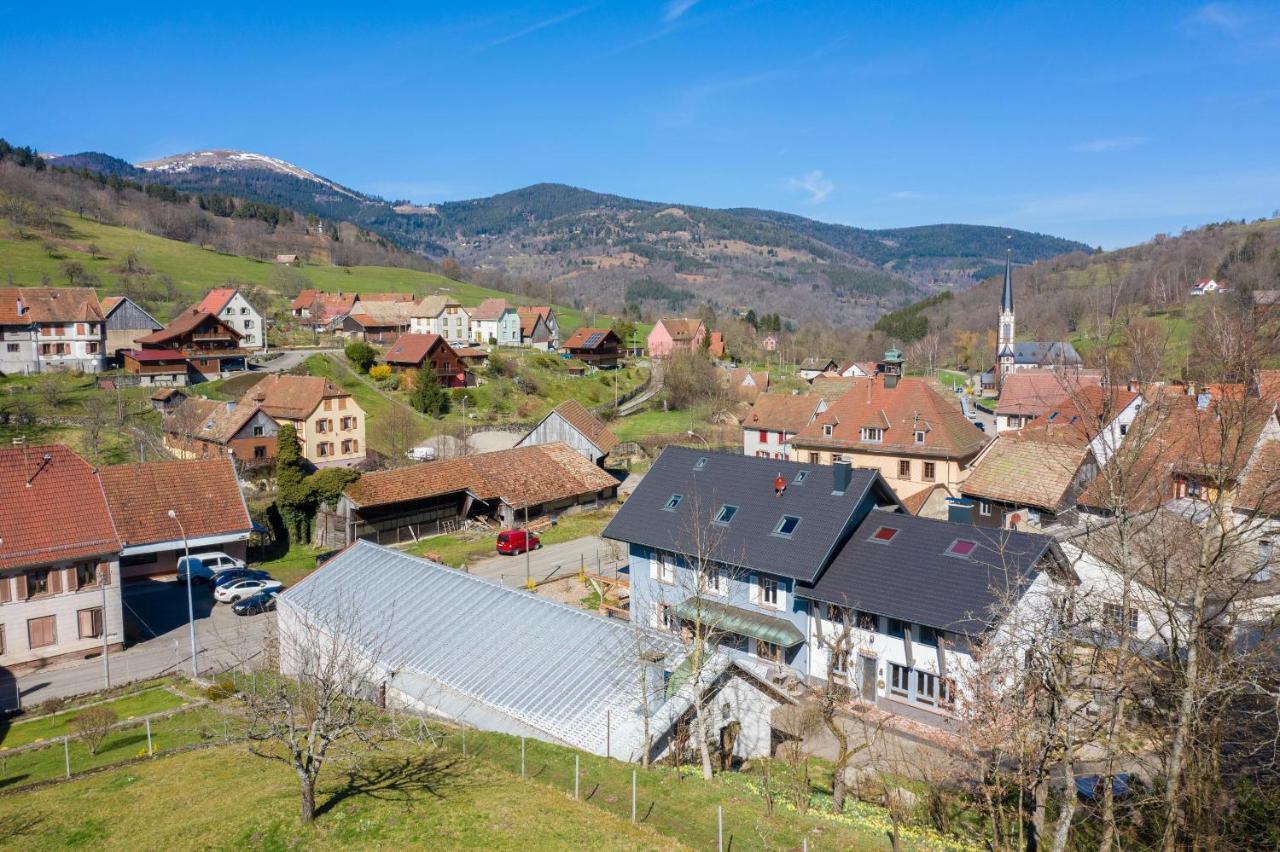 Locations Des 3 Sommets Avec Sauna Et Spa En Alsace Sondernach Bagian luar foto