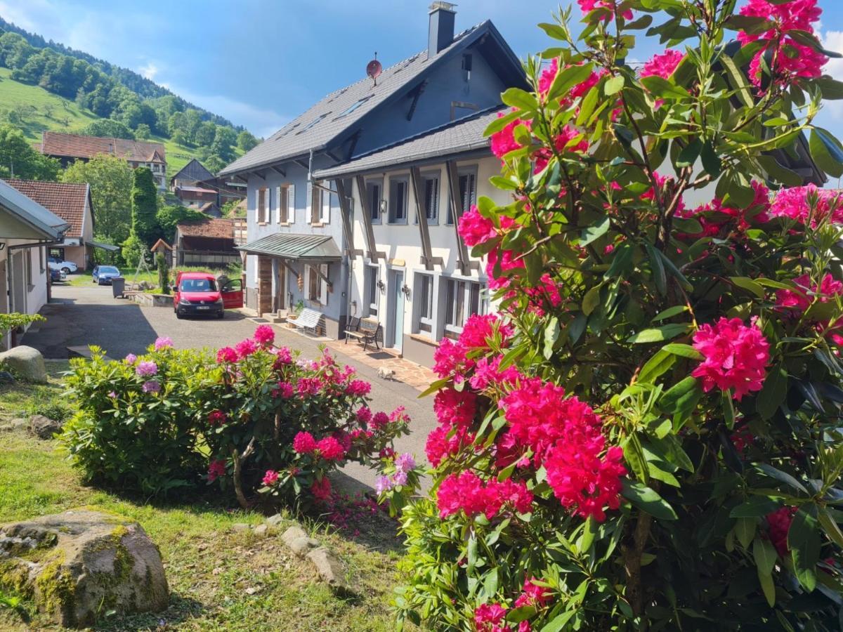 Locations Des 3 Sommets Avec Sauna Et Spa En Alsace Sondernach Bagian luar foto