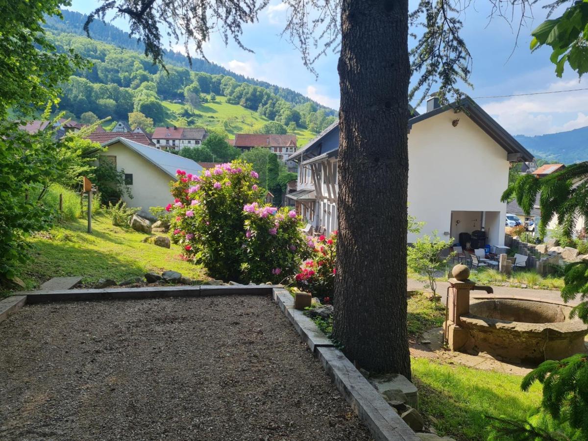 Locations Des 3 Sommets Avec Sauna Et Spa En Alsace Sondernach Bagian luar foto