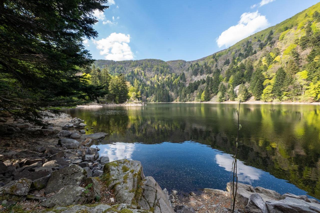 Locations Des 3 Sommets Avec Sauna Et Spa En Alsace Sondernach Bagian luar foto