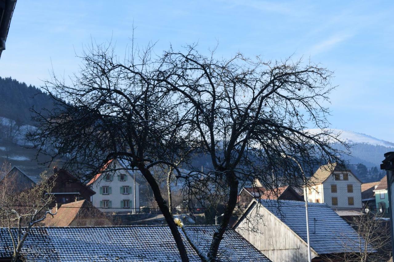 Locations Des 3 Sommets Avec Sauna Et Spa En Alsace Sondernach Bagian luar foto